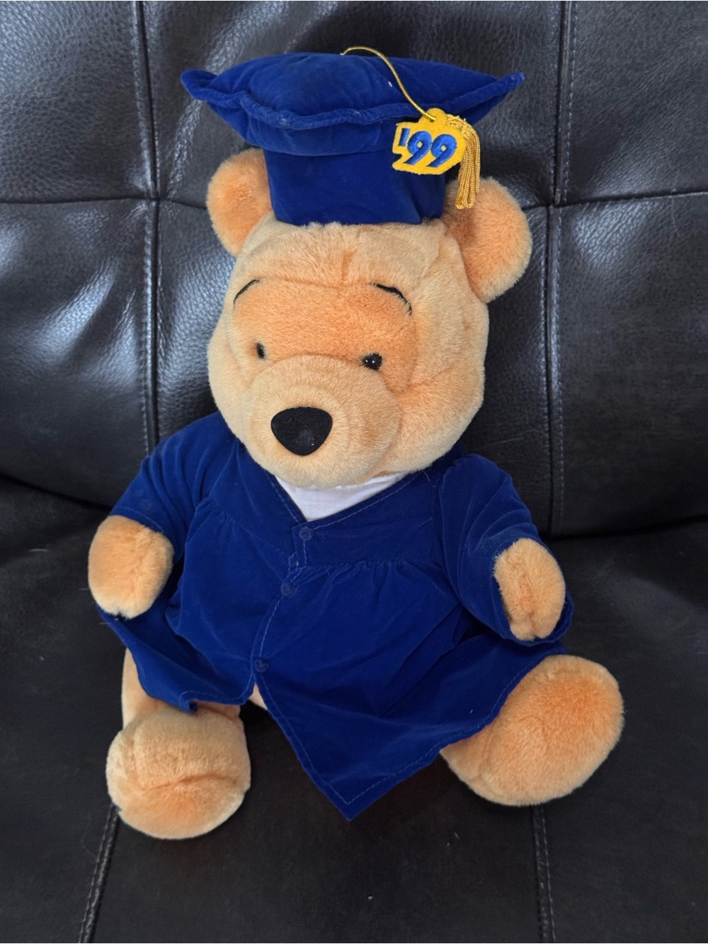 VTG 1999 Disney Winnie the Pooh Graduation 15" Stuffed Plush Doll Cap And Gown